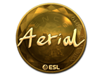 Aerial (Gold) | Berlin 2019 image